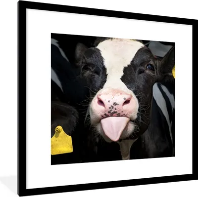 Produktbild von MuchoWow® Gerahmtes Poster Kuh - Licht - Porträt 40x40 cm - Poster mit Schwarzem Bilderrahmen Wandposter Rahmen Foto Bilder - Poster - Plakat im Rahmen