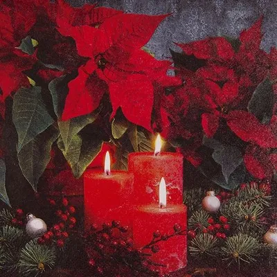 Produktbild von 20 Servietten Candlelight Poinsettia - Weihnachtsstern im Kerzenlicht 33x33cm