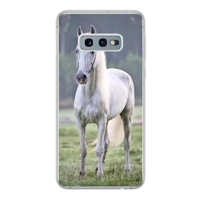 Produktbild von MuchoWow® Handyhülle Schutzhülle Hülle für Samsung Galaxy S10e Pferd - Licht - Morgen Silikon Softcase Handy Hülle - Handy