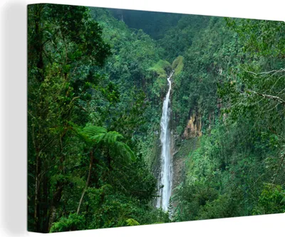 Zdjęcie produktu dla OneMillionCanvasses® - Obraz na płótnie - 140x90 cm, Wodospad na Gwadelupie, Dekoracja ścienna - Zdjęcie na płótnie - Obraz na drewnianej ramie