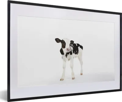 Produktbild von MuchoWow® MuchoWow® Gerahmtes Poster Kuh - Kalb - Weiß - Tiere 60x40 cm - Poster mit zchwarzem Bilderrahmen - Schlafzimmer - Plakat in Rahmen - Drucken
