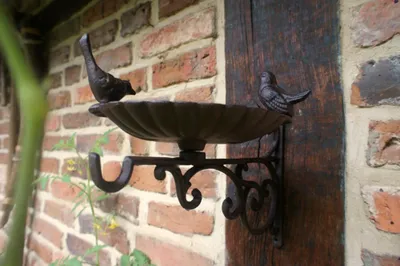 Produktbild von Futterschale Wand, Vogeltränke - Futterplatz für Vögel Terrasse + auf Balkon