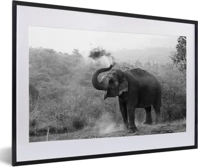 Produktbild von MuchoWow® Gerahmtes Poster Reinigungselefant - schwarz und weiß 60x40 cm - Poster mit Schwarzem Bilderrahmen Wandposter Rahmen Foto Bilder - Schlafzimmer - Plakat in Rahmen - Drucken