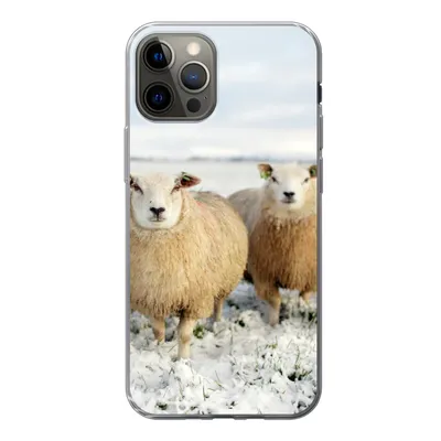Produktbild von MuchoWow® Handyhülle Schutzhülle Hülle für iPhone 12 Pro Gruppe von neugierigen Schafen Silikon Softcase Handy Hülle - Abdeckung