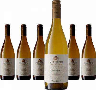 Produktbild von 6 x Salentein Barrel Selection Chardonnay