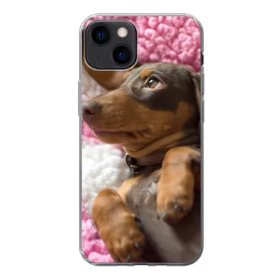 Produktbild von MuchoWow® Handyhülle Schutzhülle Hülle für iPhone 13 Ein Dackelwelpe auf einer rosa Decke Silikon Softcase Handy Hülle - Karteninhaber