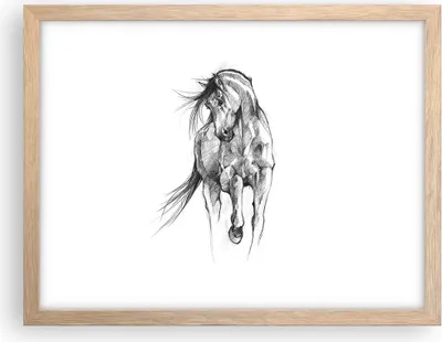 Produktbild von Gerahmtes Poster - Rahmen in heller Eiche - Pferd Galopp Tier - 40x30 cm - Wand Bild - Wanddeko - Wandbilder - Kunstposter - Wandposter - Bilderrahmen - Bilder - Kunstdruck - P2NAA40x30-5080