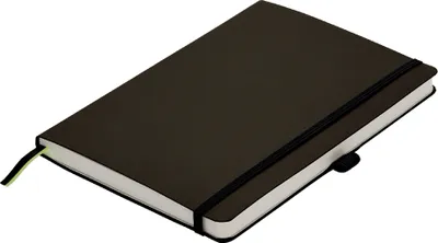 Immagine prodotto di LAMY Notizbuch   A6 liniert und kariert