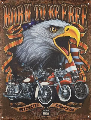 Produktbild von Moritz Blechschild 25 x 33 cm Born To Be Free USA Eagle Deko Metallschild Retro Vintage Retro Sprüche lustig