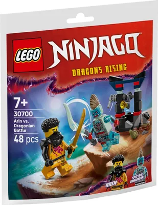 Produktbild von 30700 Ninjago Arins Duell mit dem Drachenmenschen (Polybag)