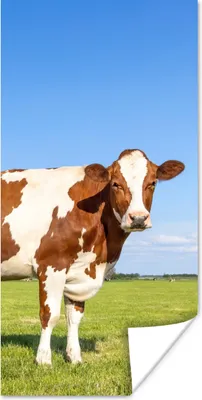 Produktbild von MuchoWow® Poster Kühe - Bauernhof - Gras - Natur - Tiere 20x40 cm - Plakat - Foto