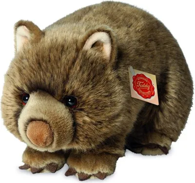 Immagine prodotto di Teddy Hermann Wombat, Kuscheltier, Stofftier, Plüschtier, Wildtier, Sonderedition Teddy-Hermann erklärt, Plüsch, Braun, 26 cm, 91426