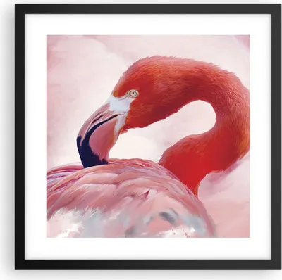Produktbild von Gerahmtes Poster - Schwarzer Rahmen - Flamingo Vogel Porträt - 40x40 cm - Wand Bild - Wanddeko - Wandbilder - Kunstposter - Wandposter - Bilderrahmen - Bilder - Kunstdruck - P2BAC40x40-4984