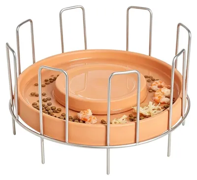 Obrázok produktu pre Kŕmna miska pre želvy s antiklopovým dizajnom