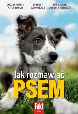 Image de Comment parler à son chien