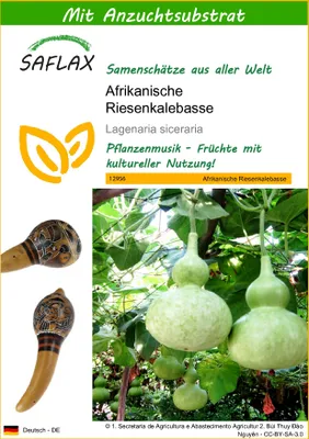 Produktbild von SAFLAX - Afrikanische Riesenkalebasse - 15 Samen - Mit keimfreiem Anzuchtsubstrat - Lagenaria siceraria