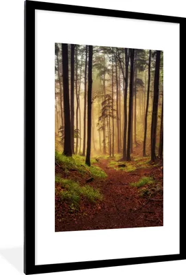 Produktbild von MuchoWow® Gerahmtes Poster Bäume - Natur - Wald 60x90 cm - Poster mit Schwarzem Bilderrahmen Wandposter Rahmen Foto Bilder - Dekoration - Wandposter Wohnzimmer - Hochwertig
