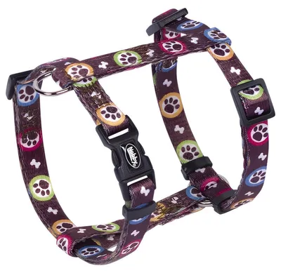 Image de Nobby Collier "Paw" L: 25-35 cm; B: 10 mm