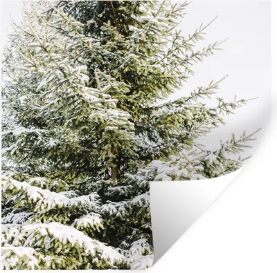 Produktbild von MuchoWow® Wandtattoo Wandsticker Wandaufkleber Winter - Baum - Schnee 50x50 cm Selbstklebend und Repositionierbar - Selbstklebend - Fototapeten