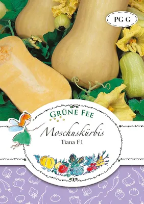 Immagine prodotto di Fata Verde - Zucca muschiata Tiana F1 semi - 11748