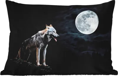Produktbild von MuchoWow® Outdoor Kissen - Wolf - Mond - Nacht - Tiere - Porträt - 50x30 cm - Wetterfest - Lounge Kissen - Sofa kissen - Wohnzimmer Dekoration