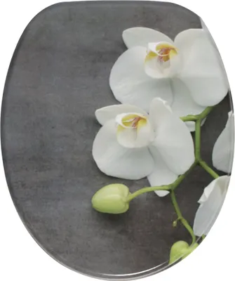 Produktbild von SANILO® WC-Sitz Pretty, Toilettendeckel direkt vom Hersteller, Klodeckel, Klobrille, WC Deckel, Toilettensitz, Toilettenbrille, WC Brille