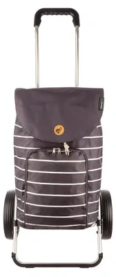 Produktbild von Andersen Royal Shopper 166-165 Mia Einkaufstrolley 80 anthrazit