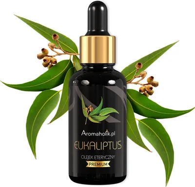 Produktbild von Eukalyptusöl Aromaholik BIO NATURAL EUCALYPTUS 30 ml