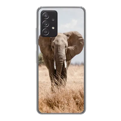 Produktbild von MuchoWow® Handyhülle Schutzhülle Hülle für Samsung Galaxy A33 5G Elefant - Natur - Tiere - Porträt Silikon Softcase Handy Hülle - Kartenhalter