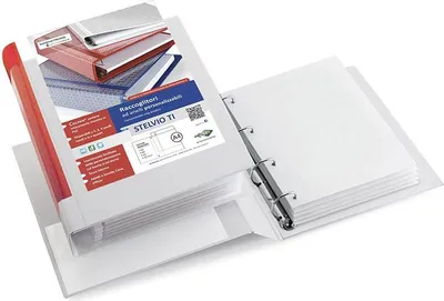 Image de SEI Rota 362551 Classeur à anneaux A3 blanc