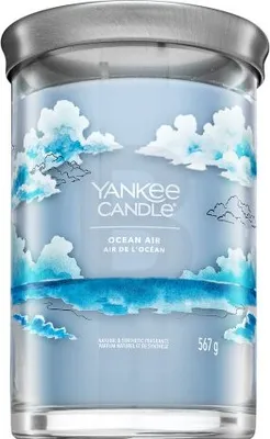 Image de Yankee Candle Tumbler Ocean Air 567 g