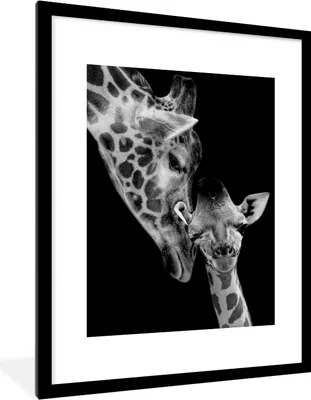Produktbild von MuchoWow® Gerahmtes Poster Porträt - Giraffe - Tiere - Schwarz - Weiß 60x80 cm - Poster mit Schwarzem Bilderrahmen Wandposter Rahmen Foto Bilder - Wohnzimmer - Dekorationen - Prämie