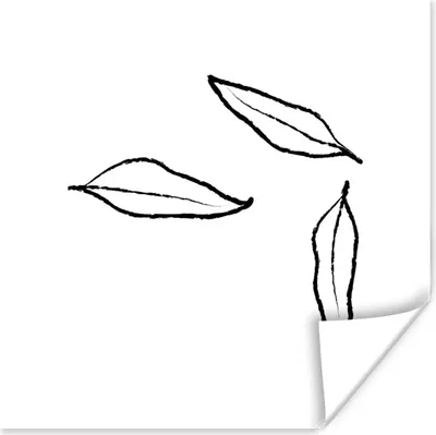 Produktbild von MuchoWow® Poster Blätter - Strichzeichnung - Schwarz - Weiß 50x50 cm - Wohnzimmerdekoration