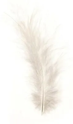 Produktbild von Glorex Marabufedern weiß ca. 15 Stück
