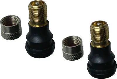 Produktbild von 2x Ventile für TUBELESS Reifen Xiaomi 1s Pro2 oder Ninebot G30 G30D