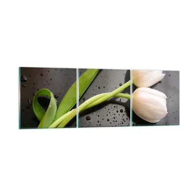 Produktbild von Bilder auf glas - Tulpen Blume Pflanzung Pflanze - 120x40cm - Glasbilder - Wandbilder - Kunstdruck - zum Aufhängen bereit - Wanddekoration aus Glas - Glas Bilder - Wandbild auf Glas - GCA120x40-2301