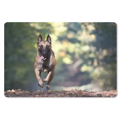 Produktbild von MuchoWow® Mauspad Mousepad Sprintender Malinois-Schäferhund durch den Wald 27x18 cm - Mousepads - Maus Mat - Pad - Mausunterlage - Büroartikel - Desk Matten