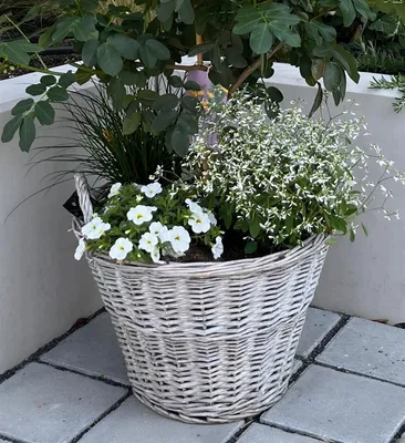 Produktbild von Rattan Pflanzkorb "Rustikal" rund Ø 40x30 cm groß, grau, Outdoor Blumentopf, Pflanzkübel, Pflanztopf für Draußen, Blumenkübel