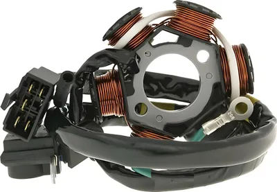 Immagine prodotto di Statore alternatore per Kymco DJ, Fever