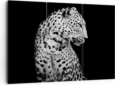 Produktbild von Bild auf Leinwand - Leinwandbild - 3 Teile - Leopard Panther Katze - 165x110cm - Wand Bild - Wanddeko - Wandbilder - Leinwanddruck - Bilder - Wanddekoration - Leinwand bilder - CE165x110-4919