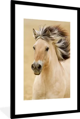 Produktbild von MuchoWow® MuchoWow® Gerahmtes Poster Pferde - Tiere - Mähne - Porträt 60x90 cm - Poster mit zchwarzem Bilderrahmen - Dekoration - Wandposter Wohnzimmer - Hochwertig