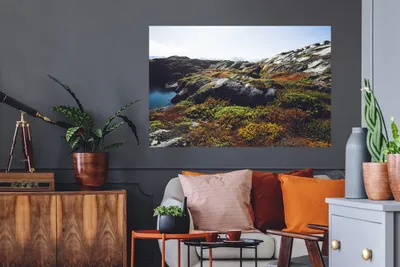Produktbild von MuchoWow® - Selbstklebend - Fototapeten