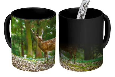 Obrázok produktu pre MuchoWow® Magický pohár Jeleň - Les - Zviera 350 ml Pohár na zmenu farby Darček Nápad na darček - Foto hrnček