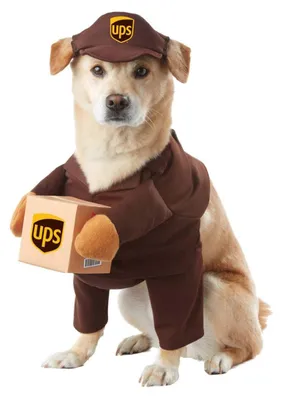 Produktbild von UPS Hundekostüm, Größe L