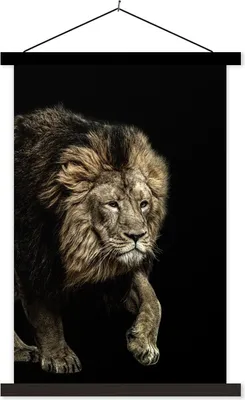 Produktbild von MuchoWow® Textilposter Profil - Löwe - Wild 40x60 cm mit schwarzem Rahmen - Wanddekorationen