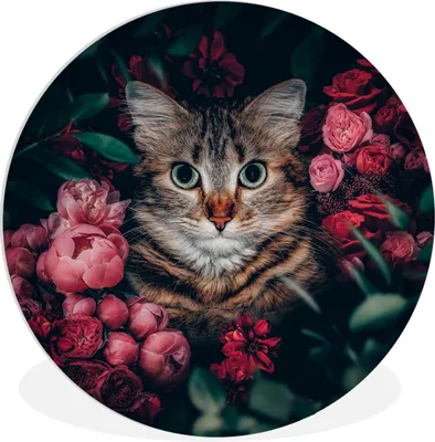 Produktbild von MuchoWow® Rundes Wandbild - Runde Bilder Katze - Blumen - Tiere - Botanisch Ø 90 cm Kreis Wanddekoration Kunststoff - Wandkreis - Wandschmuck - Wand-Kreis - Wohnzimmer - Bild - Runde - Wanddeko - Dibond - Kunstdrucke