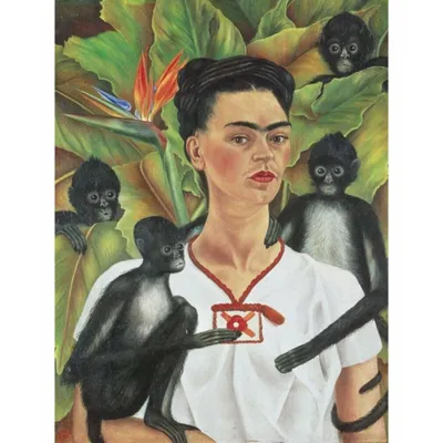 Image de PIATNIK Puzzle Frida Kahlo 1000 pièces