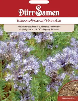 Produktbild von Phacelia 400 g für 100m² | Phaceliasamen von Dürr Samen