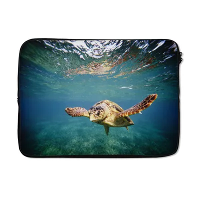 Produktbild von MuchoWow® Laptop Hülle 14 ZollSchildkröte - Wasser - Blau Laptoptasche - Laptoptasche - Stoßsicher - Schutzhaube