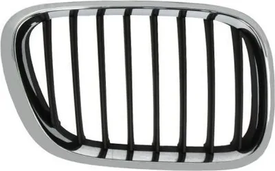 Produktbild von Kühlergitter BLIC 6502-07-0095994P